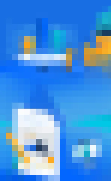 金盛会